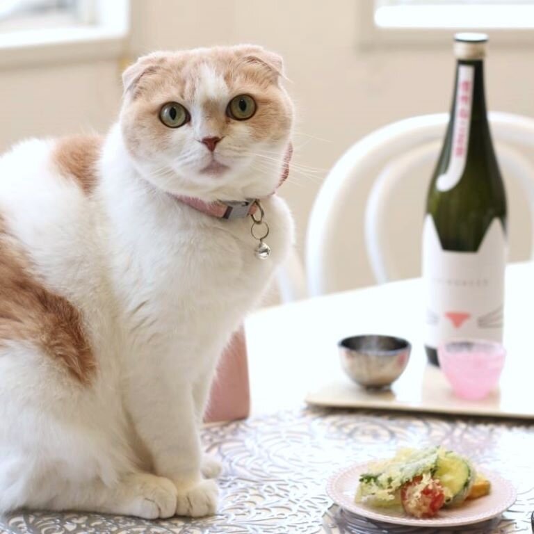 日本酒のタイプ別に楽しむ！手作りおつまみレシピまとめ【有美と小麦の酒日記】